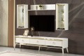 Lotus1 TV Unit
