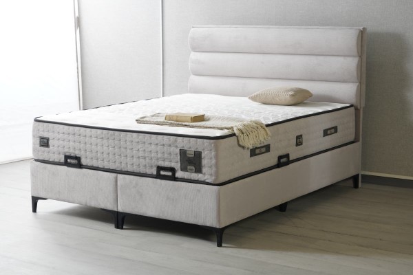 Alfa Baza ve Başlık